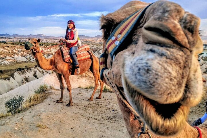 Camel Safari - Cappadocia