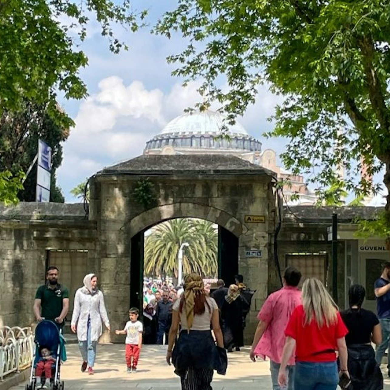 Blue Mosque & Basilica Cistern: Skip The Line Tickets + Tour - Photo 1 of 25