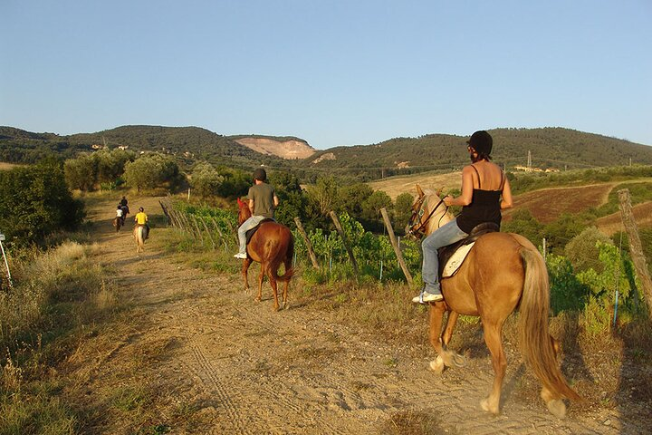Bodrum Horse Riding Experience w/ Hotel Transfer Service - Photo 1 of 7