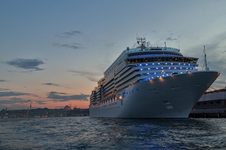 Cruise Shore Excursion - Best of Istanbul - Photo 1 of 8