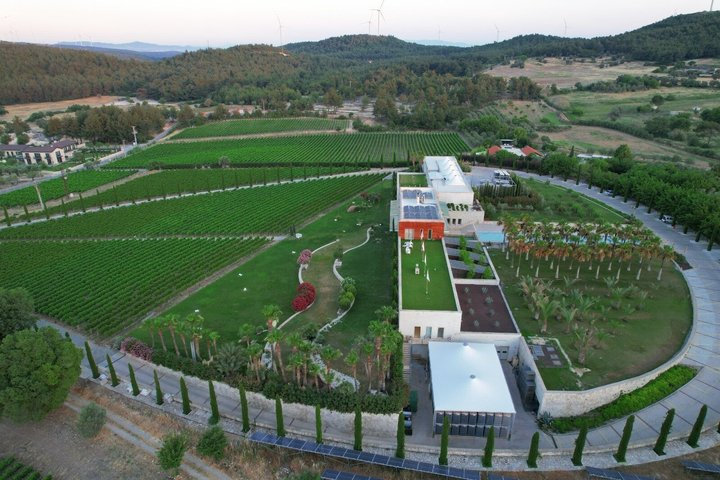 Urla Wine & Olive Oil Tasting Tour – Private Day Trip from Izmir - Photo 1 of 11