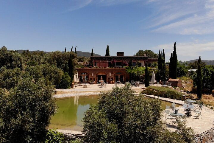 Karnas Vineyards