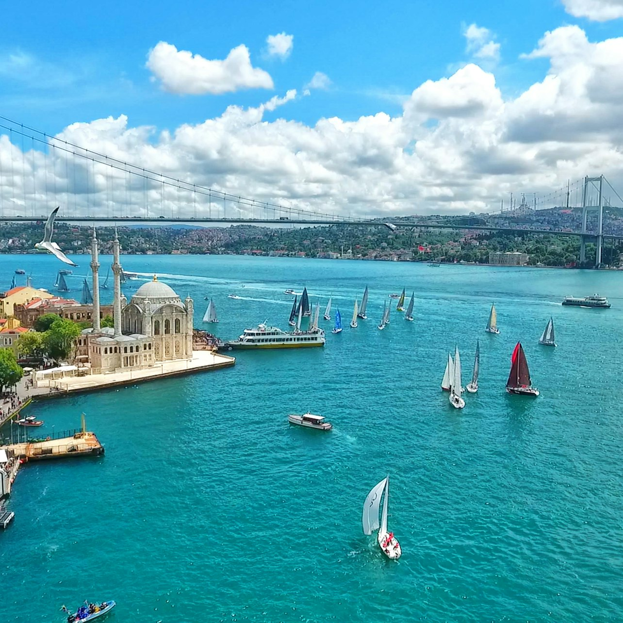 Istanbul: Bosphorus & Golden Horn Sightseeing Cruise + 3-Hr Bus Tour - Photo 1 of 3