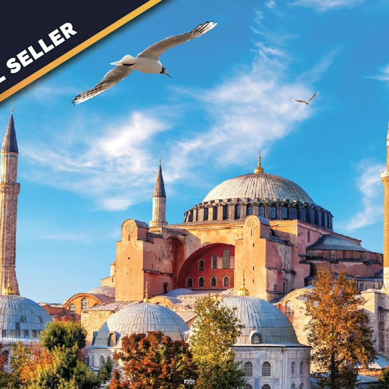 Hagia Sophia Mosque & Museum: Skip The Ticket Line - Photo 1 of 14