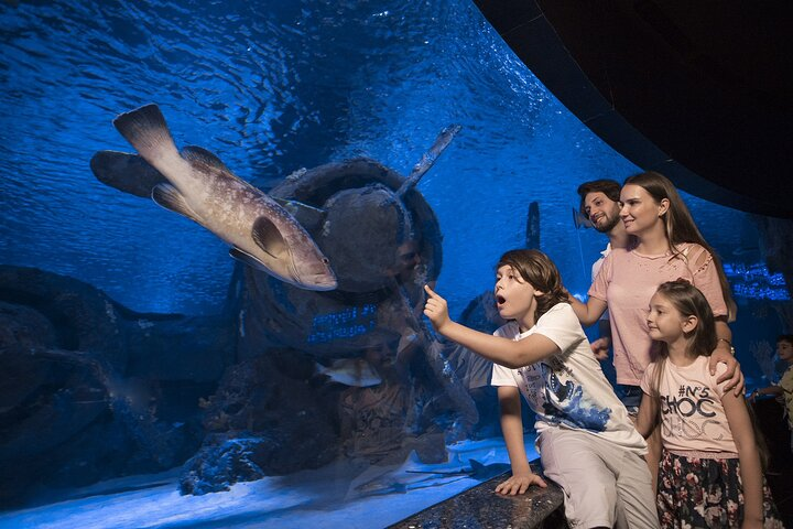 Half Day Antalya Aquarium Tour And Wax Museum - Photo 1 of 10