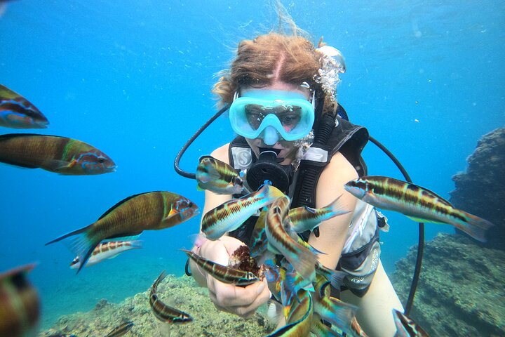 Half Day Scuba Diving @ Duden Waterfalls - Photo 1 of 22