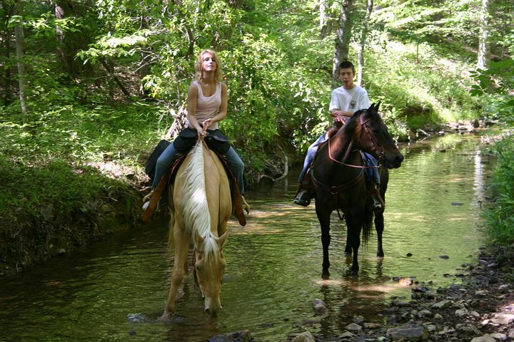 Horse Riding Experience in Marmaris with Transfer - Photo 1 of 6