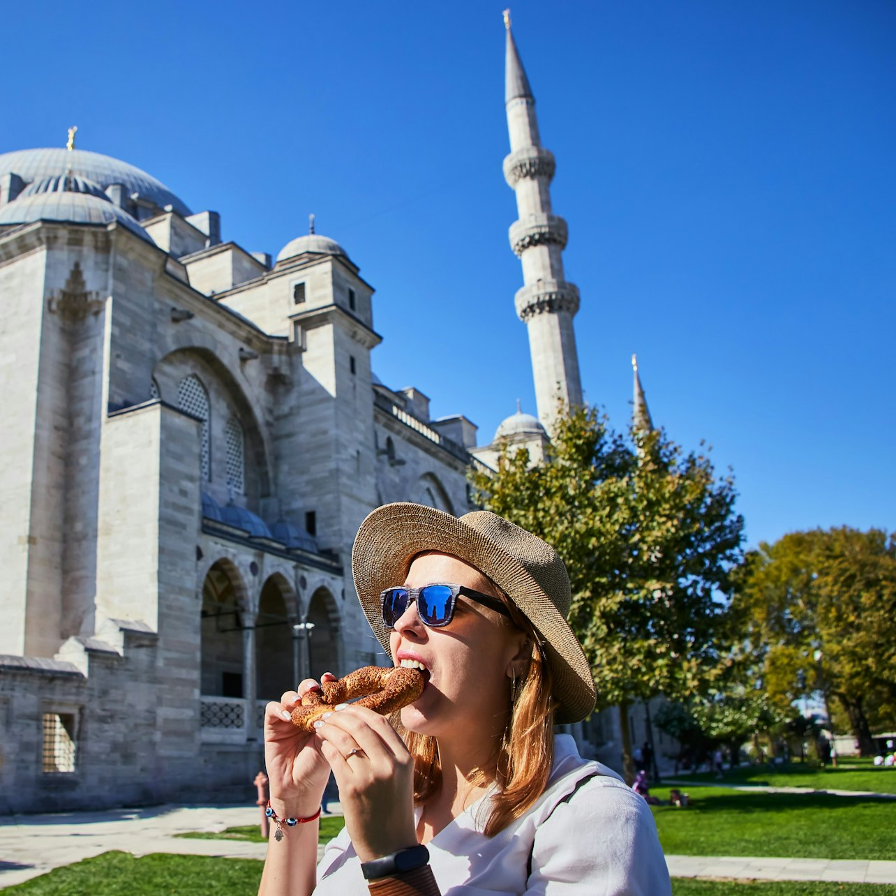 Hagia Sophia, Blue Mosque & Suleymaniye Mosque: Small Group Walking Tour - Photo 1 of 13