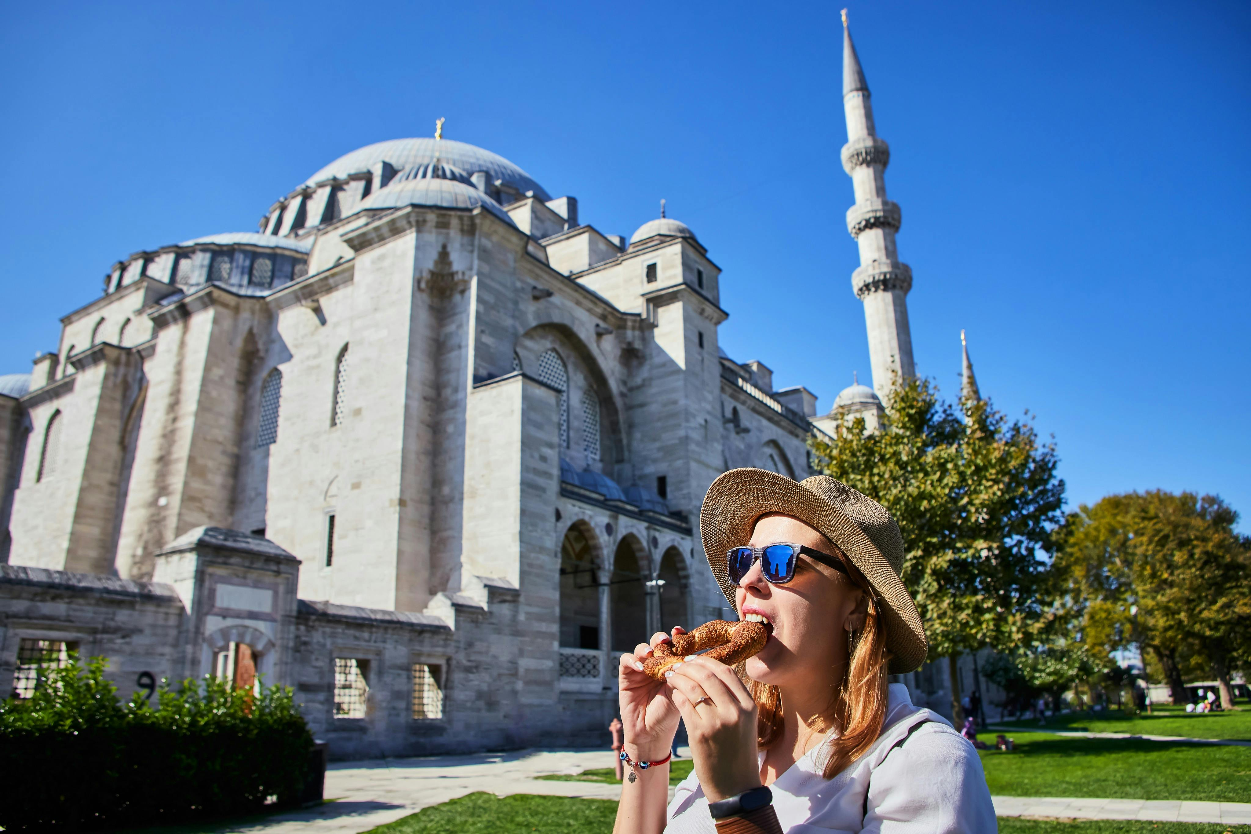 Hagia Sophia, Blue Mosque & Suleymaniye Mosque: Small Group Walking Tour - Photo 1 of 13