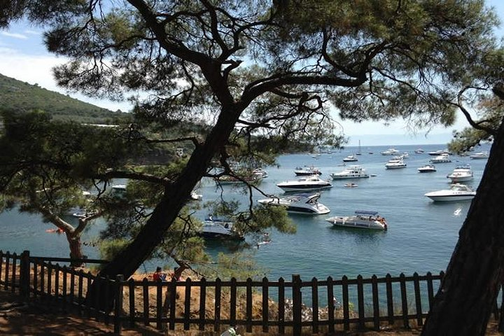 Natural Princes' Islands Tour - Small Group - Photo 1 of 9