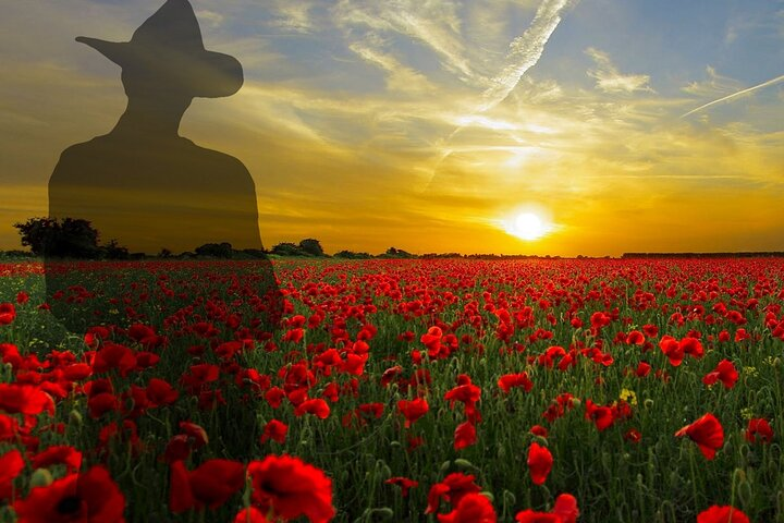 Istanbul to Gallipoli Full Day Tour with Lunch and Transfers - Photo 1 of 16