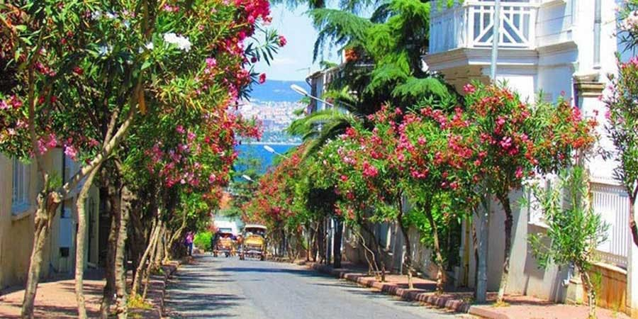 Istanbul: Prince's Island Tour + Lunch and 2 Islands - Photo 1 of 9