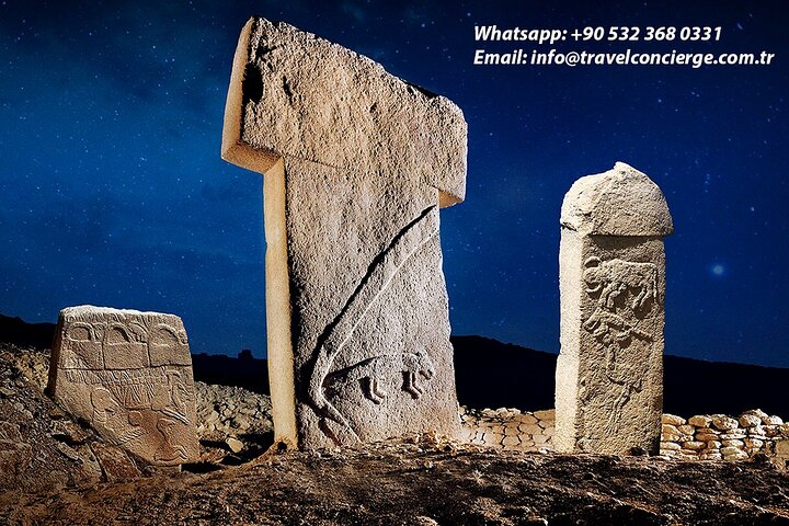 Private Daily Tour in Gobeklitepe and Karahantepe from Istanbul - Photo 1 of 10