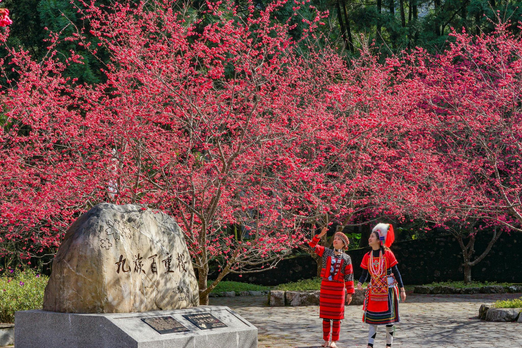 Formosan Aboriginal Culture Village: One-Day Ticket with Sun Moon Lake Ropeway + Nantou Tourism Factory Gift - Photo 1 of 14