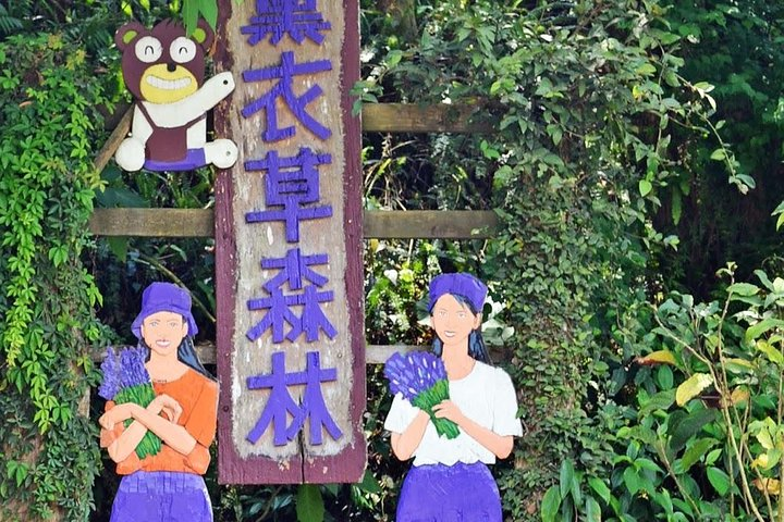 Full-Day Taichung and Lavender Cottage Private Tour with Lunch - Photo 1 of 4