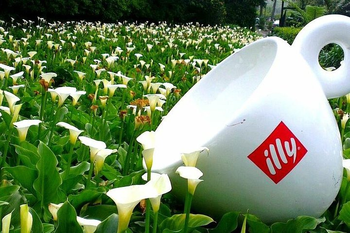 N105 Yangmingshan National Park Jinshan Old Street Yeliu Day Tour