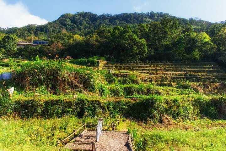 Private Tour Maokong Tea & Shenkeng Stinky Tofu from Taipei  - Photo 1 of 6