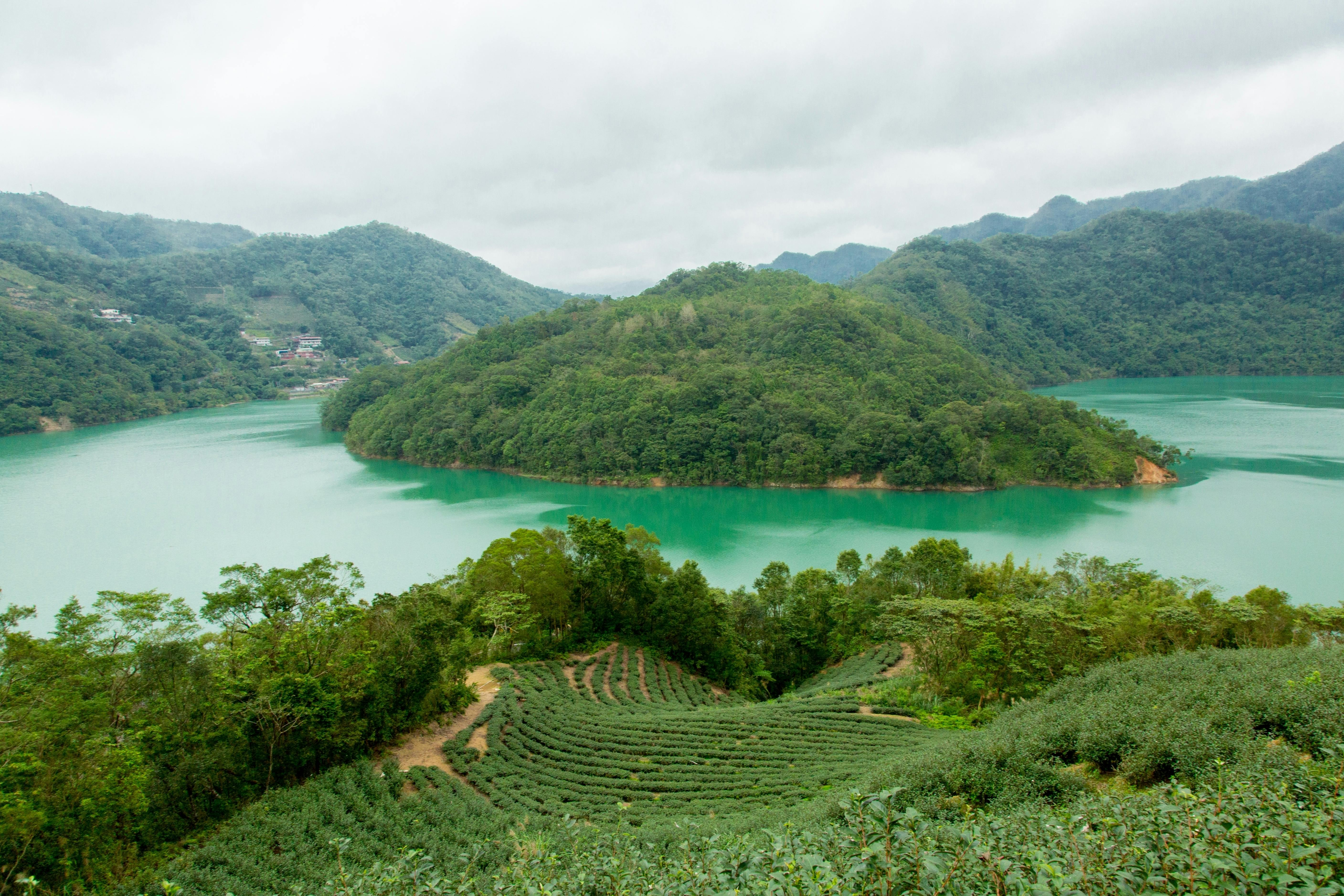 Thousand Island Lake & Pinglin Tea Plantation: Afternoon Tour from Taipei - Photo 1 of 4