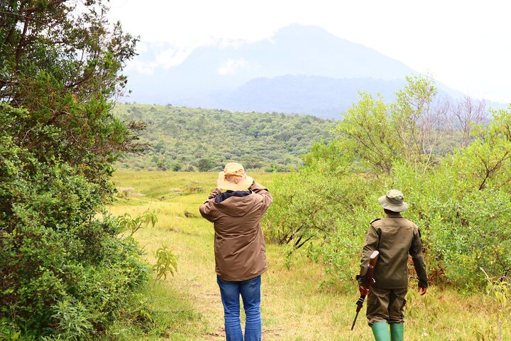 1 Day Arusha national park (Game drive and walking safari). - Photo 1 of 9