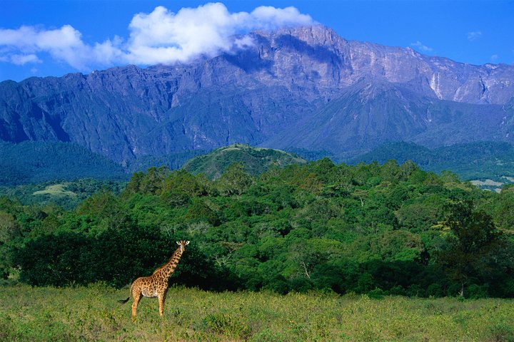 1 Day: Arusha National Park - Photo 1 of 8