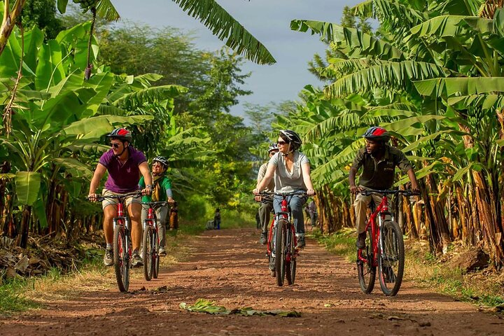 1 Day: Cycling Tour to Arusha National Park - Photo 1 of 6