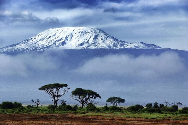 1 Day: Hiking Majestic Kilimanjaro in Arusha | Pelago