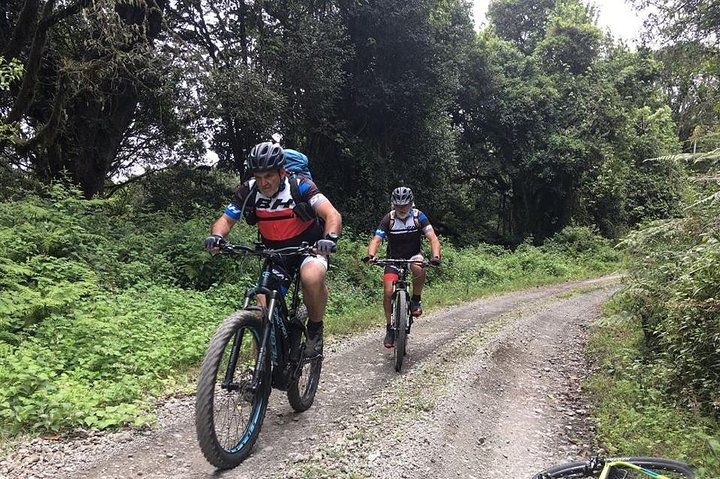 KILIMANJARO BIKE TOUR 1 DAY