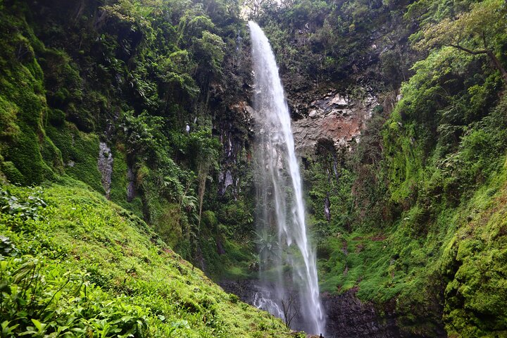 1 Day Kilimanjaro forest (mambori waterfalls). - Photo 1 of 8