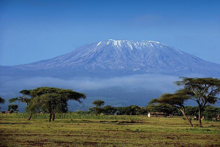 1 Day Mount Kilimanjaro Hike Trip - Photo 1 of 6