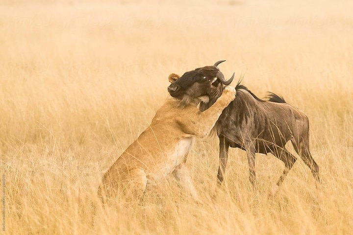 10 Day Signature Epic Wilderness - Photo 1 of 9