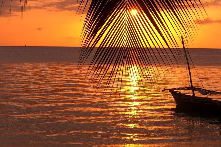 12 Days Bush to Beach Safari With Zanzibar Extension - Photo 1 of 6