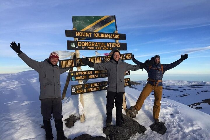 12 Days Tanzania Trip Kilimanjaro Lemosho Trek and Safari Combo - Photo 1 of 13