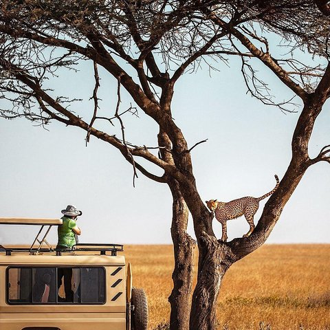 2-Day and 1 night Ngorongoro and Lake Manyara Tours - Photo 1 of 4