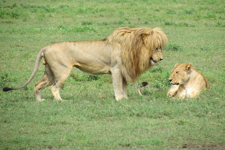 2-Day Magical Trekking Down Elephants  - Photo 1 of 3