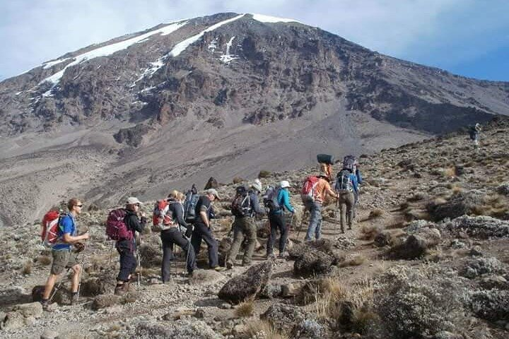 2-Day Short Kilimanjaro Trek - Photo 1 of 6