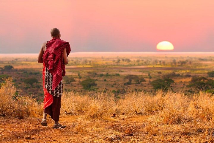 in Africa you can see a sunset and discover you have seen a miracle :)