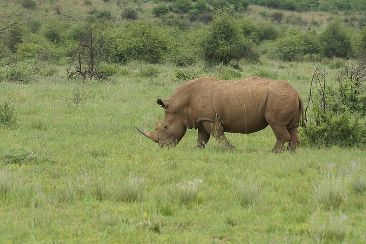 2 Days Mid-Range Tanzania Private Safari – Tarangire National Park and Ngorongoro Crater