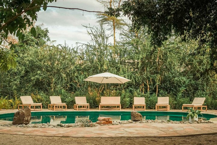 Jungle swimming pool
