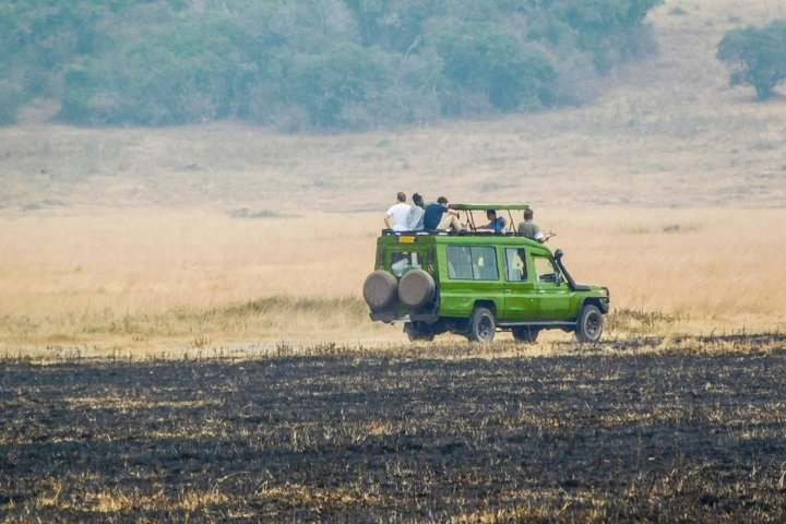 2-Day Private Serengeti Wild Camping Safari from Arusha - Photo 1 of 10