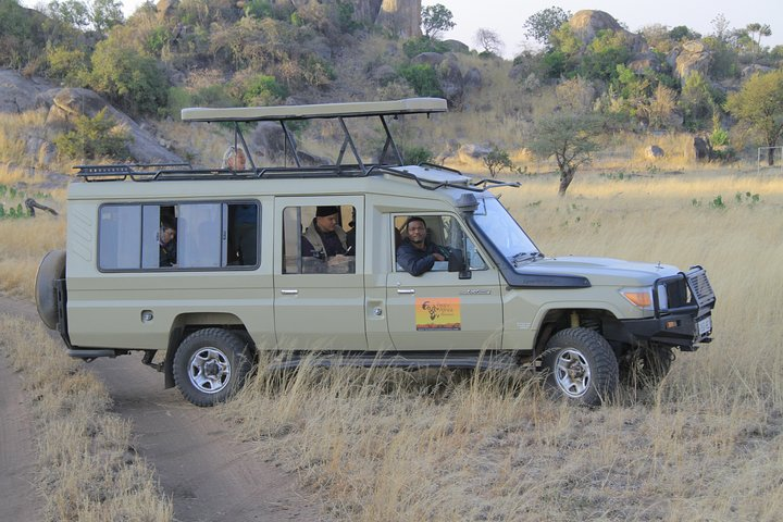 2 Days Wildlife game drives Through Tarangire and Ngorongoro Crater - Photo 1 of 6
