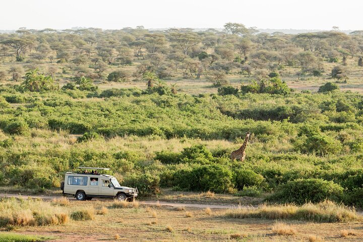 3 Day Essential 4x4 Safari: Manyara, Tarangire & Ngorongoro - Photo 1 of 12