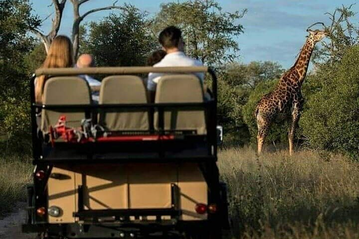 3-Day Private Budget Safari to Serengeti Np and Ngorongoro Crater - Photo 1 of 11