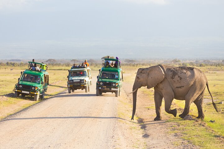 3-Day Safari to Serengeti, Ngorongoro and 1-Day Kilimanjaro Hike - Photo 1 of 10