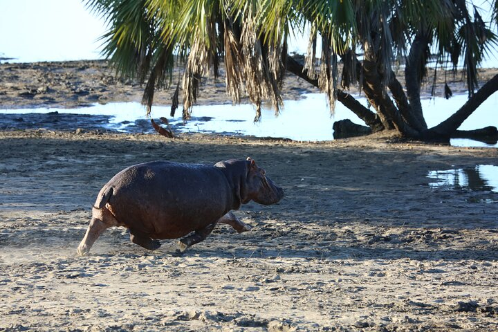 https://media-cdn.tripadvisor.com/media/attractions-splice-spp-720x480/09/a2/73/21.jpg