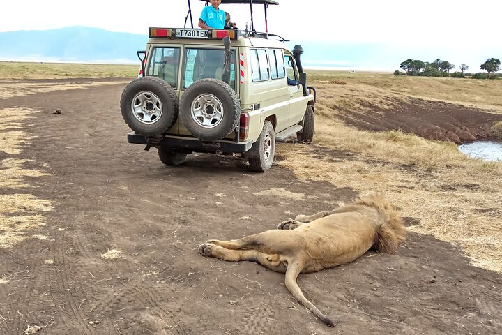 3 Days Exploring Serengeti & Ngorongoro Crater from Arusha - Photo 1 of 7
