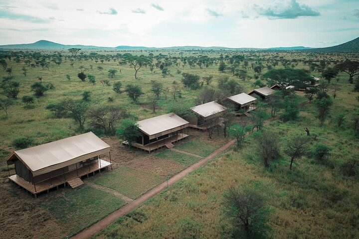 3 days fly in safari - Photo 1 of 12