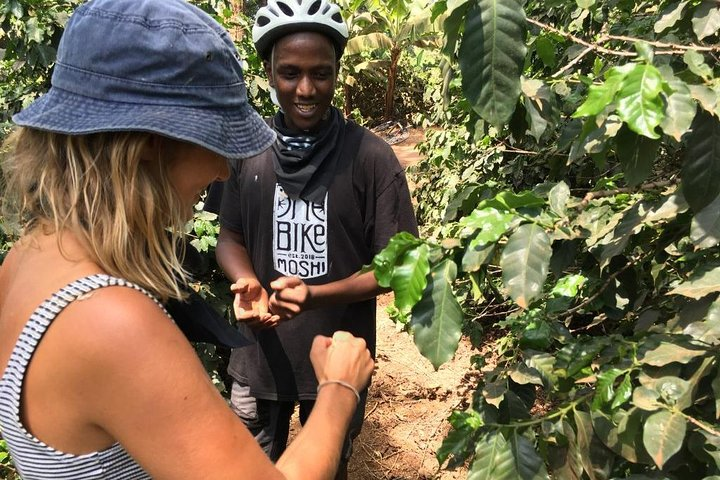 Bike to Coffee Farm