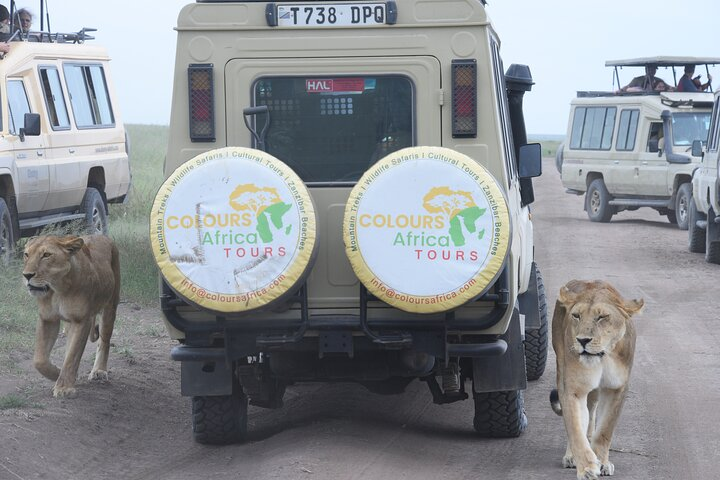 5-Day Luxury Fly-In Serengeti & Ngorongoro Safari from Zanzibar - Photo 1 of 2