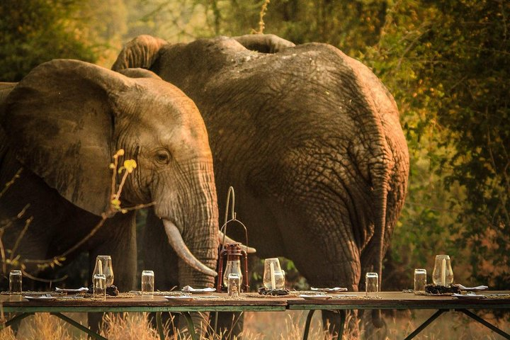 3 Days Safari - Mikumi National Park - Photo 1 of 11