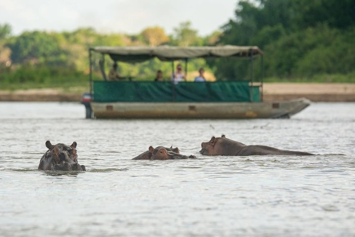 3 Days Selous Game Reserve Driver from Dar es salaam - Photo 1 of 11